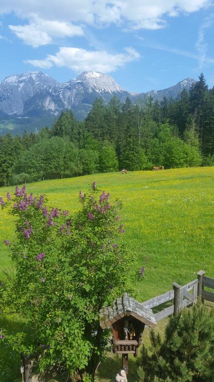 Hochödlehen 3*